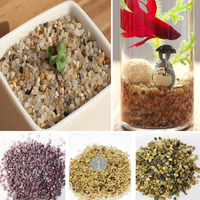 80g DIY Micro Paysage Mini Pierre Décoration Jardin Plantes Succulentes Pot De Fleur Décor