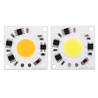 AC220-240V 30W bricolage COB LED ampoule puce puce perle 36x36mm pour projecteur de lumière crue