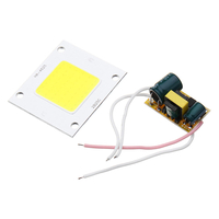 AC90-240V 20W 30W bricolage LED panneau de puce puce avec LED Transformateur de pilote dalimentation