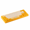 AJAZZ AC067 Cheese 65% Montage sur joint Remplaçable à chaud Type-C Clavier mécanique de jeu filaire avec boîtier en alu