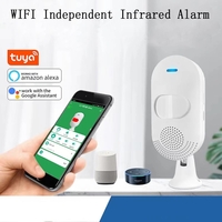 Alarme de détection infrarouge indépendante Tuya WIFI PIR capteur de détecteur de mouvement pour la sécurité à domicile