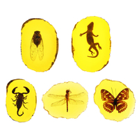 Ambre Insectes Fossiles Libellule Polissage Manuel Spécimen dInsecte Pendentif Décorations Artisanales