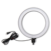 Anneau vidéo USB 26cm 5500K avec pince de téléphone pour adaptateur de tête de trépied pour Youtube Tiktok Live Streamin