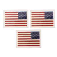 Autocollants de tatouage imperméables à motif de drapeau américain