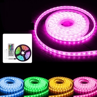 Avec IR Télécommande et Récepteur LED Strip Rgb Led Strip Télécommandes LED Bande à Changement de Couleur de Bande Lumiè