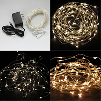 Blanc chaud 10m / blanc 100 LED fil de cuivre LED jeux de lumières lampe 12v