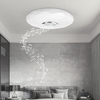 BlitzWolf® BW-LT39 LED Haut-parleur Bluetooth intelligent Plafonnier avec lumière principale et lumière dambiance R