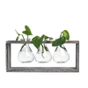 Bois et Verre Créatif Hydroponique Salon Décoration Pot de Fleurs Plante Vase