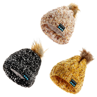 Bonnet chaud sans fil Bluetooth Music Hat Cap Soft Casque Casque Haut-parleur Microphone