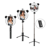 BOROFONE BY6 Portable 6 pouces 10 modes de gradation LED Ring Fill Light BT4.0 Télécommande YouTube Tiktok VK Vlog Makeu