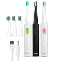 Borui BR-Z1 USB sans fil ultrasonique brosse à dents électrique hygiène buccale Rechargeable Sonic automatique à