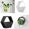 Boîte de pot de fleur dusine de panier de mur accrochant dhexagone pour les décorations à la maison de jardin