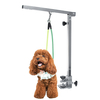 Bras de table de toilettage de chien pour le bain danimal familier Aides de beauté Bureau Fournitures de chiot port