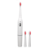 Brosse à dents électrique Sonic Vibration Enfants adultes brosse à dents Voyage Waterpoof Portable pour Daily Care Oral