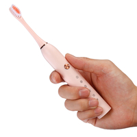 Brosse à dents électrique ultrasonique IP67 puissant USB chargeant le nettoyant pour dents Oral Care Cleaner avec têtes