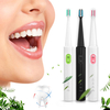 Brosse à dents électrique ultrasonique rechargeable de voyage imperméabilisent 3 dents de mode de nettoyage propres + 4