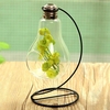 Bulbe vase en verre micro paysage éco bouteille avec porte-