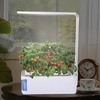 Bureau Intelligent LED Lampe Hydroponique Herbe Kit De Jardin Intérieur Multi-Fonction Fleur Légume Plante Croissance Lu