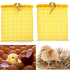 Canard de caille de poulet de plateau de Turner doeufs dincubateur automatique doeufs avec 110V/220V