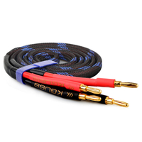 Câble audio damplificateur de câble denceinte surround en cuivre pur à 300 noyaux