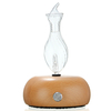 Chambre en bois de parfum darome danion négatif de diffuseurs dhuiles essentielles daromathérapie