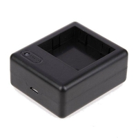 Chargeur USB double Batterie pour caméra daction Yi Sports