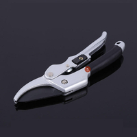 Ciseaux de coupe de fruits à économie de travail Ciseaux de jardin Coupe-cisaillement de jardinage à ramification grossi