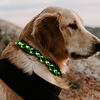 Collier pour chien à LED,  clignotant,  veilleuse de sécurité lumineuse,  clignotant réglable
