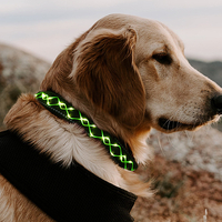 Collier pour chien à LED,  clignotant,  veilleuse de sécurité lumineuse,  clignotant réglable