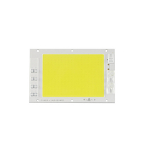 Conducteur intelligent dIC de puce de lumière de puce de 100W 485737 DIY pour le projecteur imperméable à leau