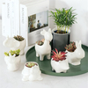 Céramique Plante Succulente Récipient Pot De Fleur Planteur Titulaire De Vase Animal De Forme Décorations