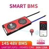 DALY BMS 14S 48V 80A 100A 200A Batterie PCM BMS e-bike lithium Batterie système de gestion avec balance pour système d&