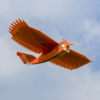 Dancing Wings Hobby New Biomimetic Northern Cardinal 1170mm Envergure EPP Mousse Slow Flyer RC Avion KIT/KIT + Moteur