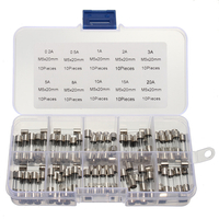 DANIU 100 pièces 5x20mm 0.2A-20A fusible de tube de verre à soufflage rapide Kit assorti fusibles en verre à soufflage r