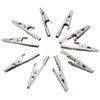 DANIU 10Pcs Pinces de Test Crocodile Alligator Fer Fixation par vis de câble