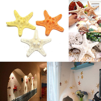 Décoration artificielle naturelle daccessoires dornement détoile de mer