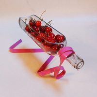 Décoration de bureau micro décologie de paysage de bouteille de suspension de métier créatif avec le ruban