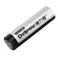 Delipow 3.7V 2500mAh USB rechargeable AA 18650 Batterie