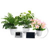 Dispositif darrosage automatique solaire dirrigation goutte à goutte Outils de jardin minuterie de pompe à eau