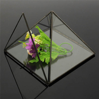Diy micro paysage triangle serre verre plantes succulentes pot de fleurs