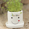 DIY Mini Lucky Angel Herbe En Pot Amoureux Plante Décor De Bureau