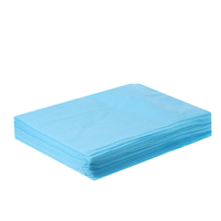 Draps de lit de spa de massage jetables de tissu non tissé 10PCS couvre-lit imperméable