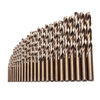 Drillpro 25pcs 1-13mm HSS M35 Jeu de forets hélico daux en cobalt pour le perçage de bois en métal