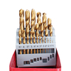 Drillpro 25Pcs M2 HSS 6542 Foret hélico dal Set Foret revêtu de titane 1-13mm avec boîte en métal pour le perçage du boi