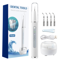 Détartreur visuel à ultrasons Électrique Portable Trois Modes Détartreur Dentaire Nettoyant Dents Charge USB Calcul Oral