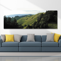 DYC 10560 Single Spray Peintures À Lhuile Photographie Montagnes Paysage Pour La Maison Décoration Peintures Mur Ar