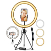 EGL-02 10 pouces 3 Modes de couleur 10 niveaux de luminosité USB lumière vidéo Selfie maquillage support trépied ensembl