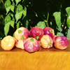 Egrow 10 Pcs / Pack Graines daubergine Violet Peach Fruit Chili Pepper Légumes biologiques pour la maison Jardin Pl