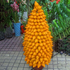Egrow 10 Pcs / Sac Or Baies De Bonsa Graines Abiu Flores Caimito Jardin En Pot Plantas Légumes Plant Le Taux De Débarqu
