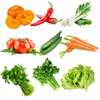 Egrow 10 sortes de graines de légumes mixtes Real vert non-OGM graines de légumes biologiques plantation comestible
